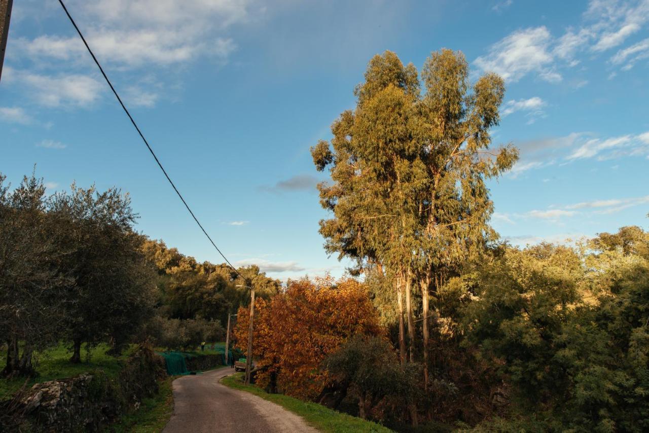 Azeite De Marvao, Olivoturismo Casa Venda Do Lagar Villa Екстериор снимка